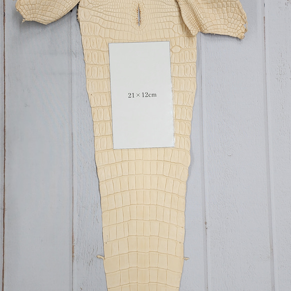 ワ二革　クロコ　植物タンニン鞣し　ナチュラル（タラ）　No.C009069 10枚目の画像