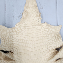 ワ二革　クロコ　植物タンニン鞣し　ナチュラル（タラ）　No.C009069 4枚目の画像