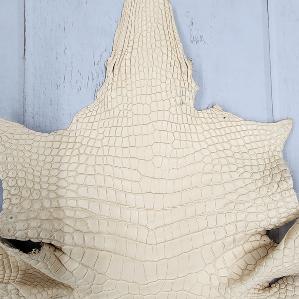 ワ二革　クロコ　植物タンニン鞣し　ナチュラル（タラ）　No.C009069 4枚目の画像