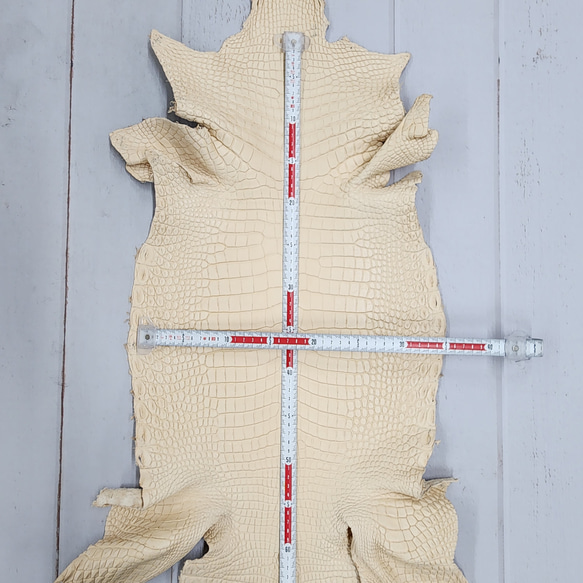 ワ二革　クロコ　植物タンニン鞣し　ナチュラル（タラ）　No.C009069 7枚目の画像