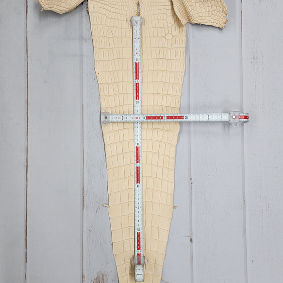 ワ二革　クロコ　植物タンニン鞣し　ナチュラル（タラ）　No.C009069 8枚目の画像