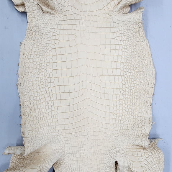 ワ二革　クロコ　植物タンニン鞣し　ナチュラル（タラ）　No.C009069 5枚目の画像