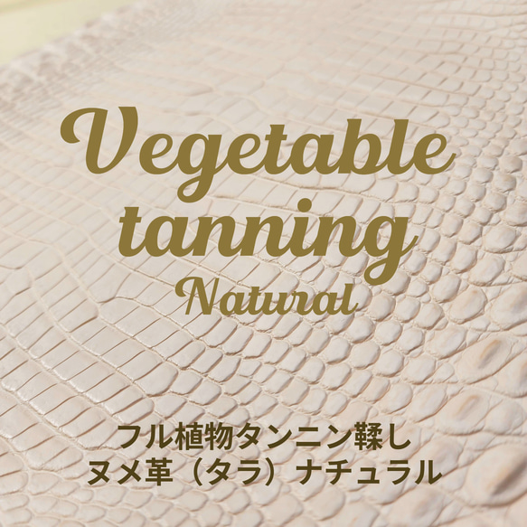 ワ二革　クロコ　植物タンニン鞣し　ナチュラル（タラ）　No.C009069 1枚目の画像
