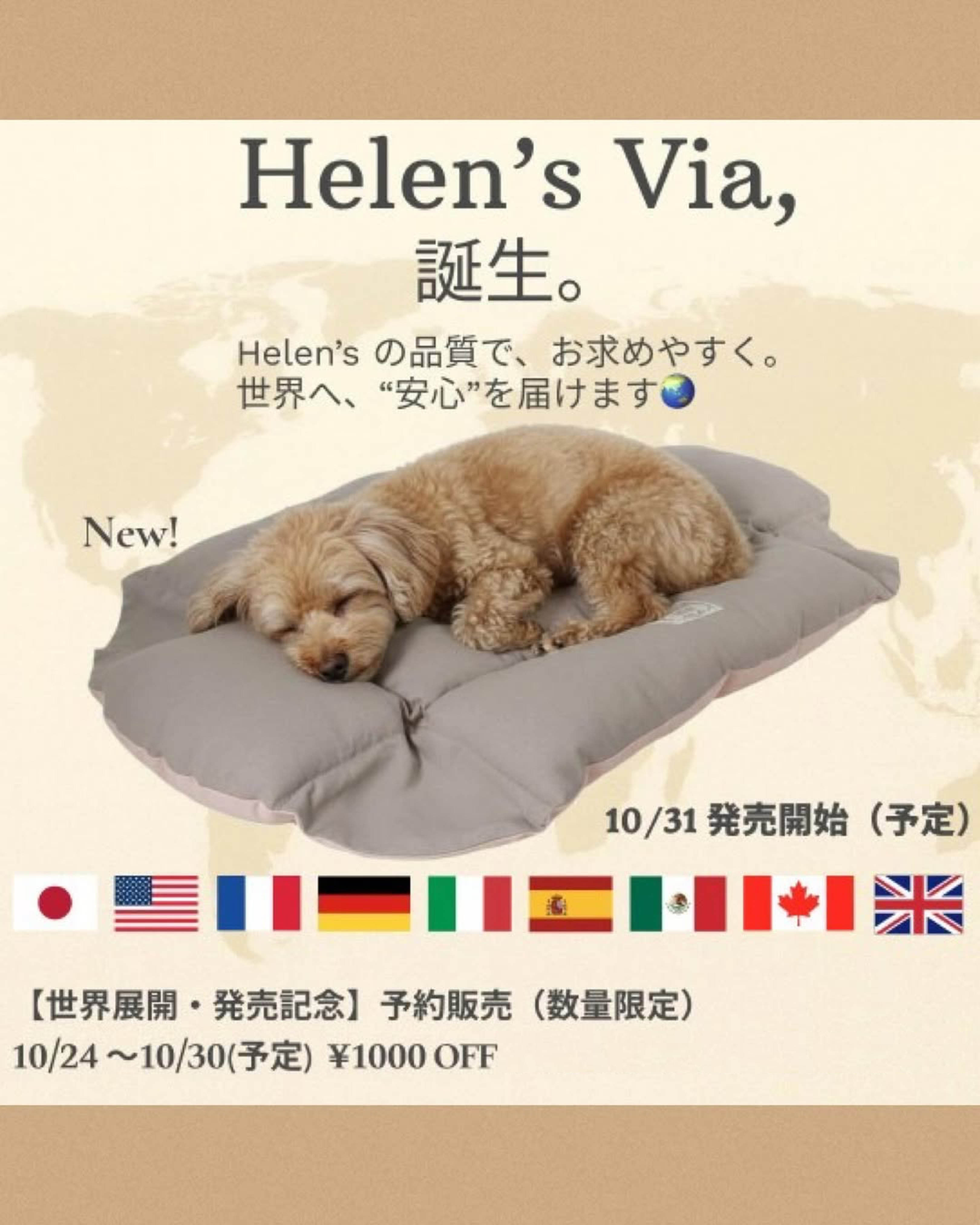 【Helen's Viaのご紹介】