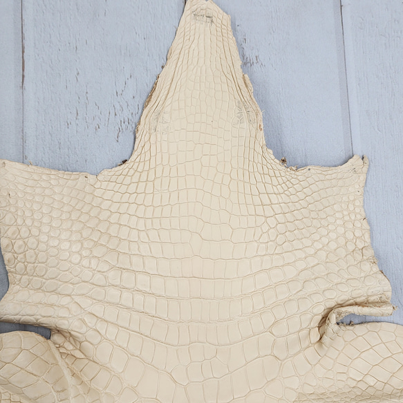 ワ二革　クロコ　植物タンニン鞣し　ナチュラル（タラ）　No.C009084 4枚目の画像