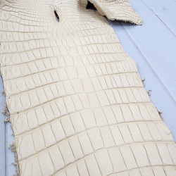 ワ二革　クロコ　植物タンニン鞣し　ナチュラル（タラ）　No.C009084 18枚目の画像