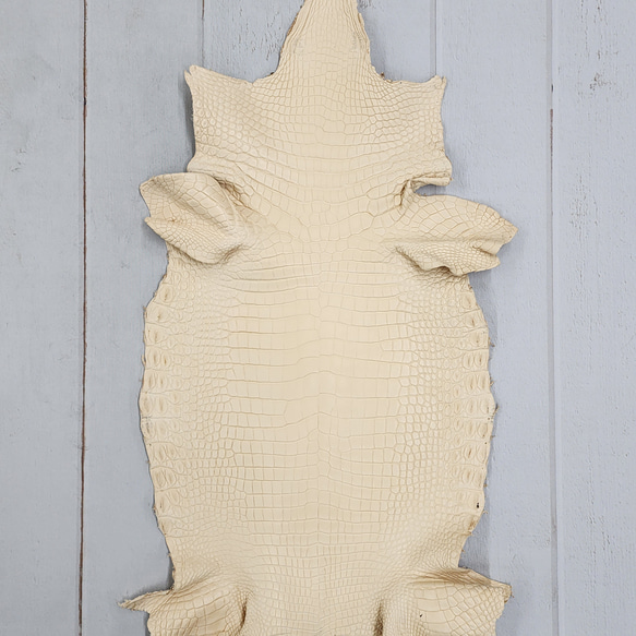 ワ二革　クロコ　植物タンニン鞣し　ナチュラル（タラ）　No.C009084 2枚目の画像