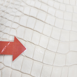 ワ二革　クロコ　植物タンニン鞣し　ナチュラル（タラ）　No.C009084 12枚目の画像