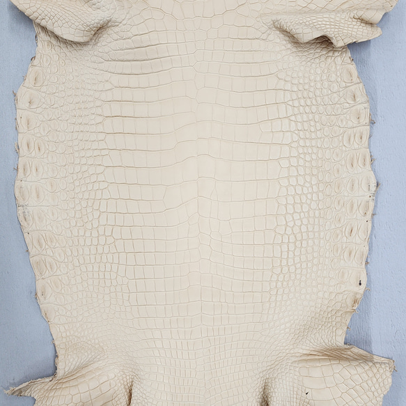 ワ二革　クロコ　植物タンニン鞣し　ナチュラル（タラ）　No.C009084 5枚目の画像