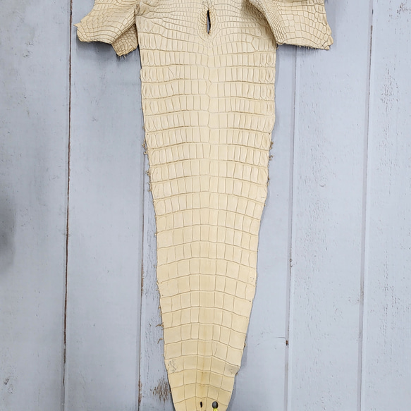 ワ二革　クロコ　植物タンニン鞣し　ナチュラル（タラ）　No.C009084 6枚目の画像