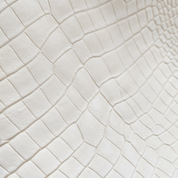 ワ二革　クロコ　植物タンニン鞣し　ナチュラル（タラ）　No.C009084 15枚目の画像