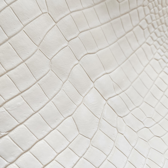 ワ二革　クロコ　植物タンニン鞣し　ナチュラル（タラ）　No.C009084 15枚目の画像