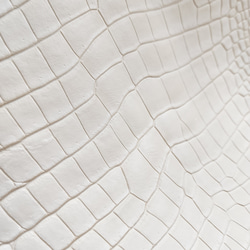 ワ二革　クロコ　植物タンニン鞣し　ナチュラル（タラ）　No.C009084 14枚目の画像