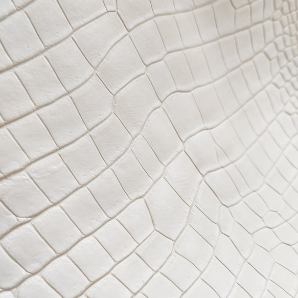 ワ二革　クロコ　植物タンニン鞣し　ナチュラル（タラ）　No.C009084 14枚目の画像