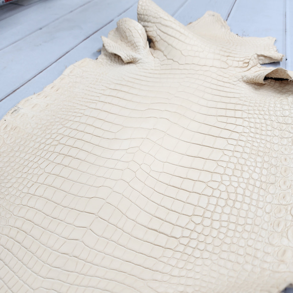 ワ二革　クロコ　植物タンニン鞣し　ナチュラル（タラ）　No.C009084 17枚目の画像