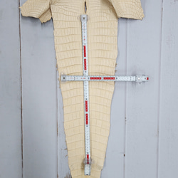 ワ二革　クロコ　植物タンニン鞣し　ナチュラル（タラ）　No.C009084 8枚目の画像