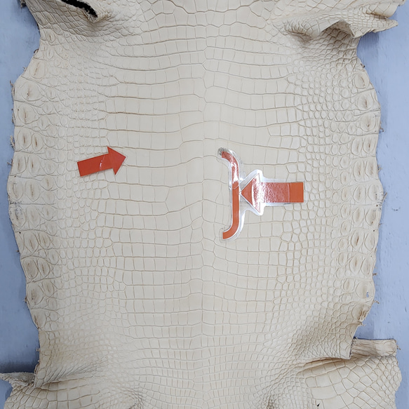 ワ二革　クロコ　植物タンニン鞣し　ナチュラル（タラ）　No.C009084 11枚目の画像