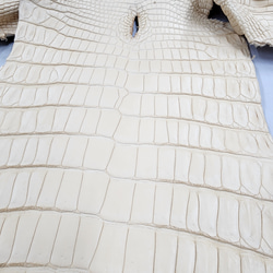 ワ二革　クロコ　植物タンニン鞣し　ナチュラル（タラ）　No.C009084 16枚目の画像