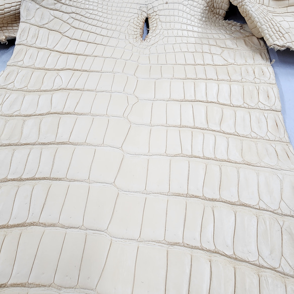 ワ二革　クロコ　植物タンニン鞣し　ナチュラル（タラ）　No.C009084 16枚目の画像