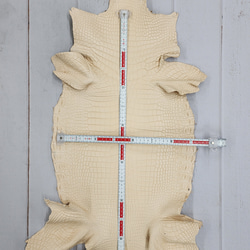 ワ二革　クロコ　植物タンニン鞣し　ナチュラル（タラ）　No.C009084 7枚目の画像