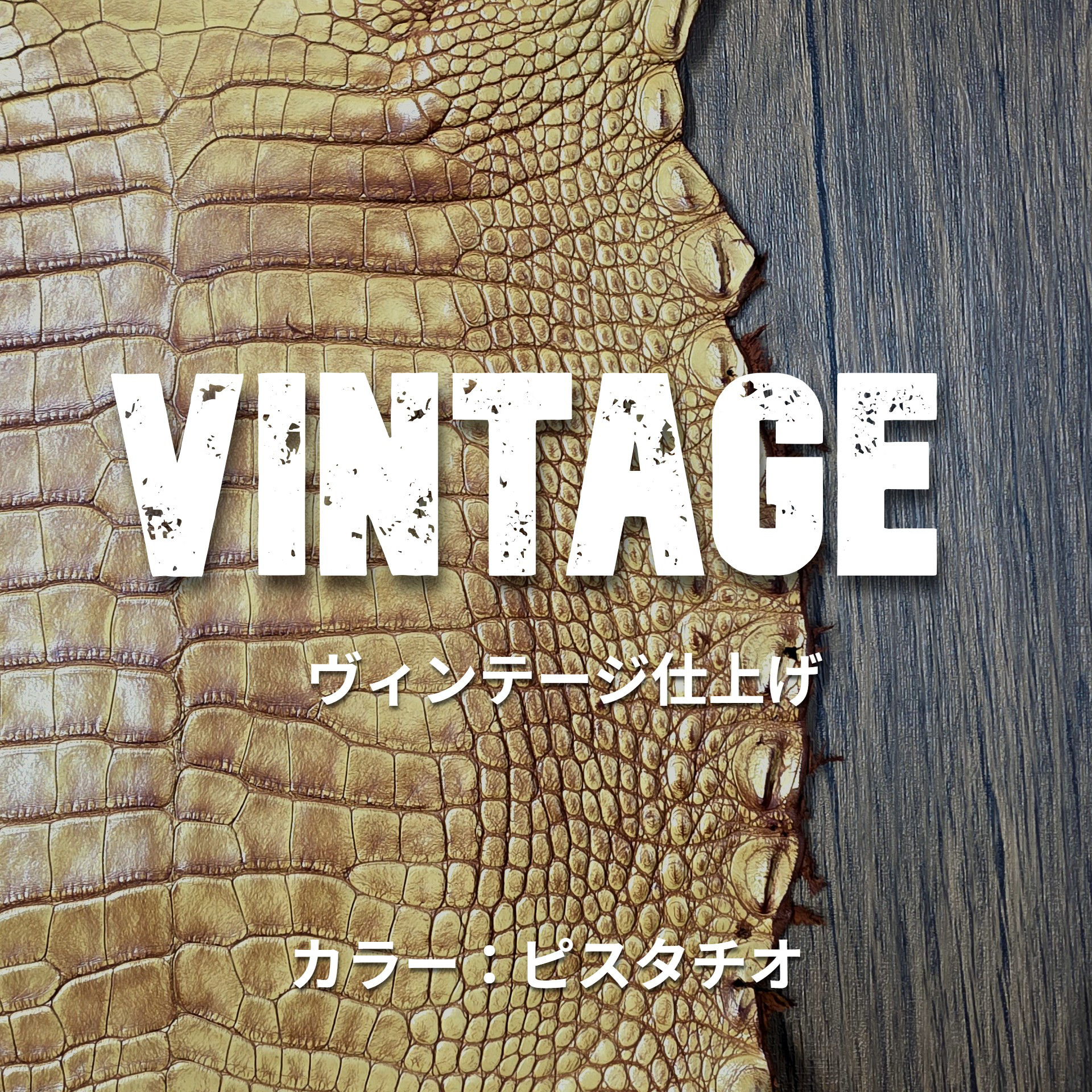 ワニ革　ヴィンテージ仕上げ　ピスタチオ　No.C009032
