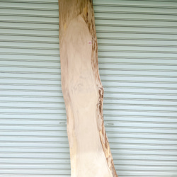 天然 楠木 木材 天板 無垢材 一枚板 テレビ台 ベンチ カウンター