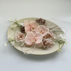 胡蝶蘭♡ピーチバーガンディ♡ニュアンスカラーチューリップ