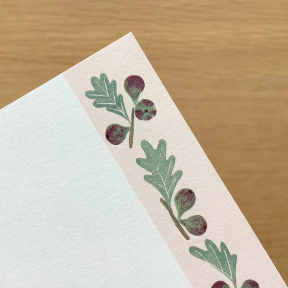 ポストカード　絵本の中のねこ（#new9    スコティッシュとイチジク） 7枚目の画像