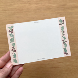 ポストカード　絵本の中のねこ（#new9    スコティッシュとイチジク） 3枚目の画像