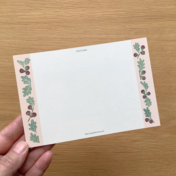 ポストカード　絵本の中のねこ（#new9    スコティッシュとイチジク） 3枚目の画像