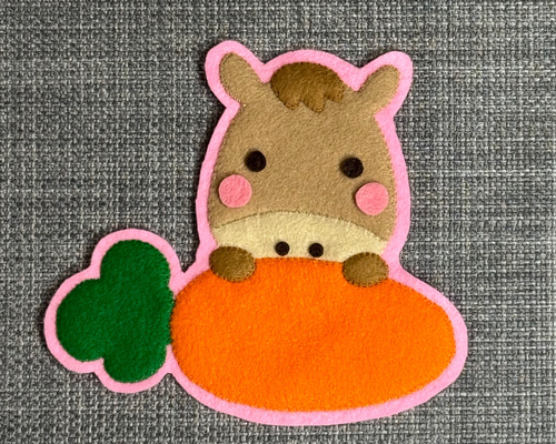 南島のひーかー様　オーダー専用☆ 名札　フェルト　ワッペン 南島のひーかー様 オーダー専用☆ 名札 フェルト ワッペン 南島のひー