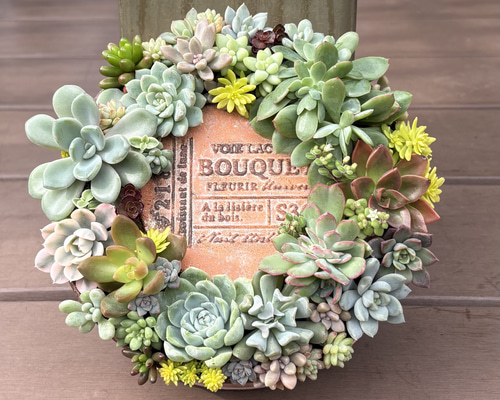 多肉植物 寄せ植え そのまま飾れる♡.*゜リース♡*°オレンジ 多肉植物