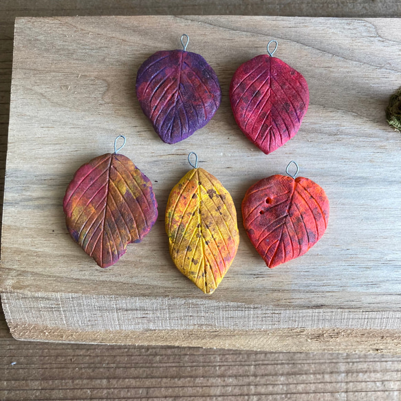 9873.bud 秋の1日 / 雪の降る日〔小〕 6枚目の画像