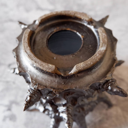 4号艶流紋黒棘マダム鉢321　塊根植物　多肉植物　アガベ　盆栽　植木鉢　作家鉢　鉢皿　沖縄 6枚目の画像