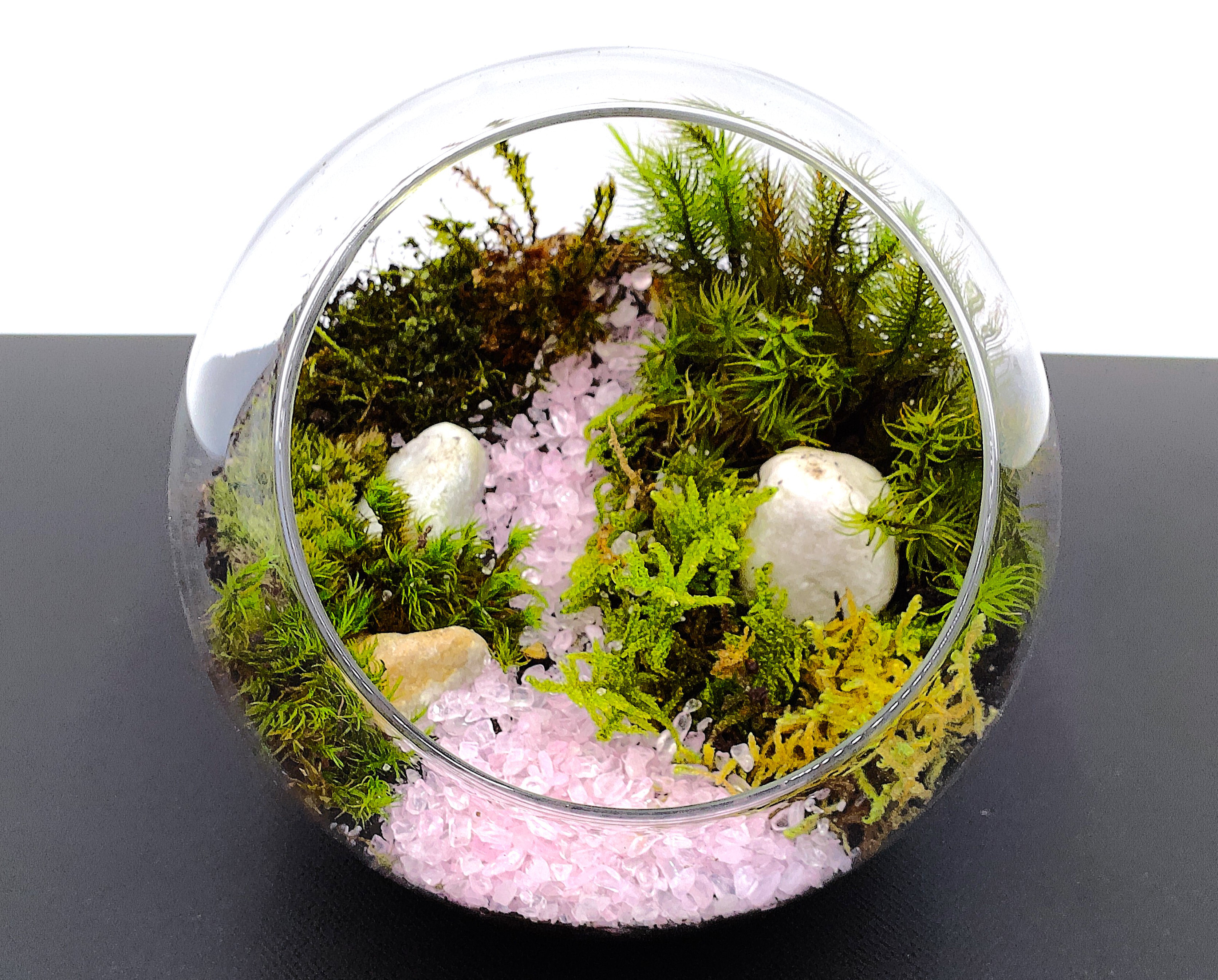 【ギフト専門】苔テラリウム 10cm ＜森と川＞タイプ（選べる天然石のさざれ石）