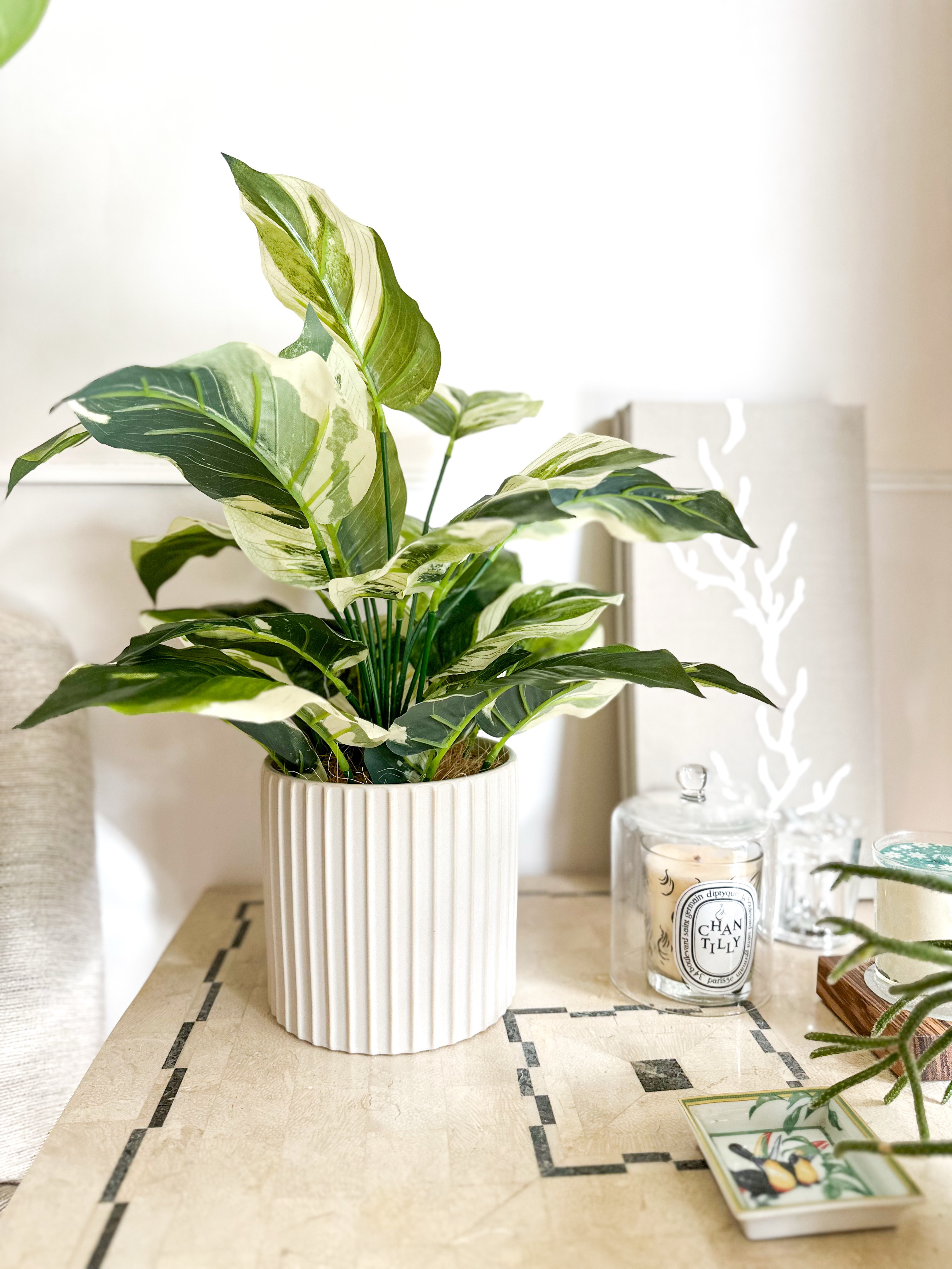 【大人気!再販】ホワイトリブ鉢のフェイクグリーン　斑入りカラテアのインテリア