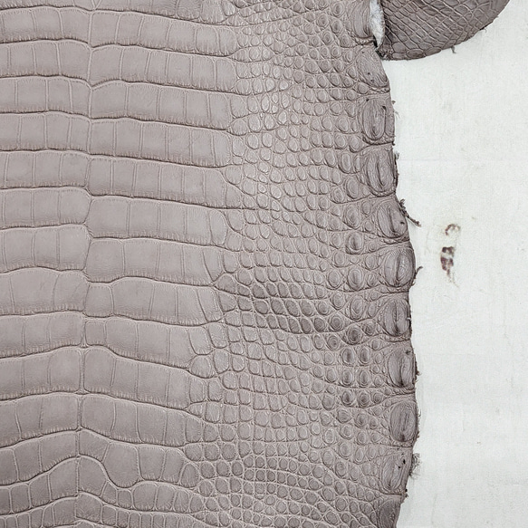 【mayumayu 様専用商品】ワニ革  半艶マット  グレージュ  No.C007002/6995 19枚目の画像