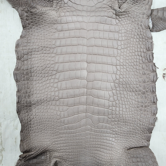 【mayumayu 様専用商品】ワニ革  半艶マット  グレージュ  No.C007002/6995 14枚目の画像