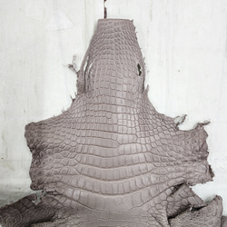 【mayumayu 様専用商品】ワニ革  半艶マット  グレージュ  No.C007002/6995 13枚目の画像