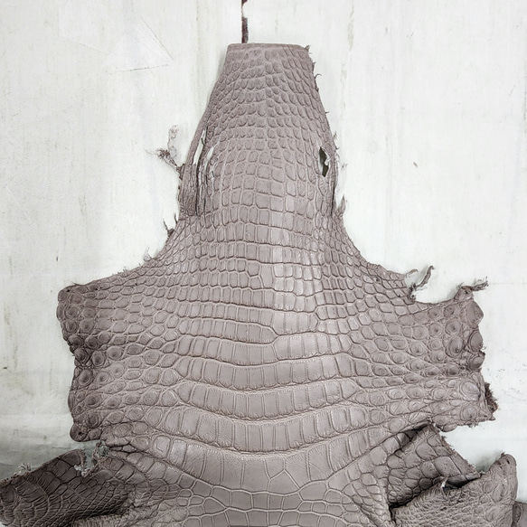 【mayumayu 様専用商品】ワニ革  半艶マット  グレージュ  No.C007002/6995 13枚目の画像