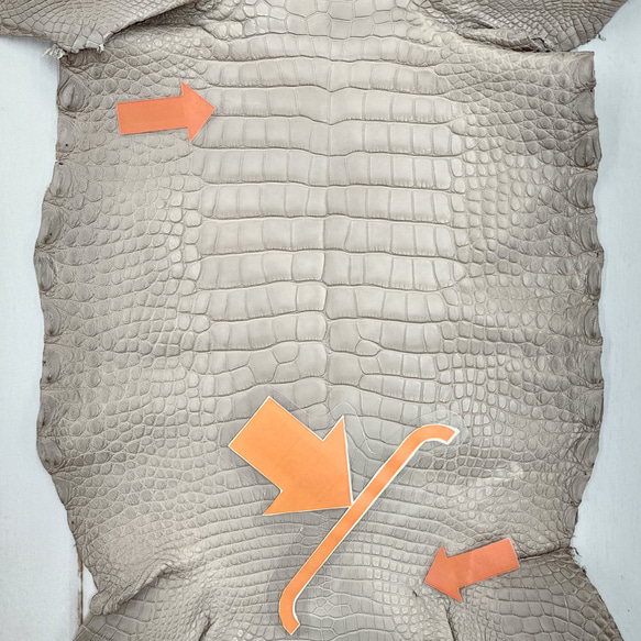 【mayumayu 様専用商品】ワニ革  半艶マット  グレージュ  No.C007002/6995 8枚目の画像