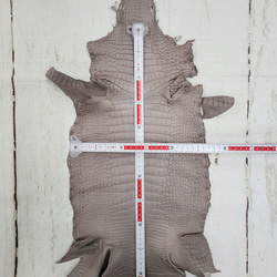 【mayumayu 様専用商品】ワニ革  半艶マット  グレージュ  No.C007002/6995 16枚目の画像