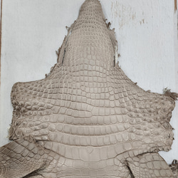 【mayumayu 様専用商品】ワニ革  半艶マット  グレージュ  No.C007002/6995 3枚目の画像