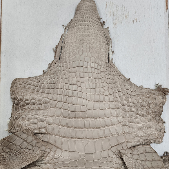 【mayumayu 様専用商品】ワニ革  半艶マット  グレージュ  No.C007002/6995 3枚目の画像