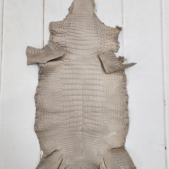 【mayumayu 様専用商品】ワニ革  半艶マット  グレージュ  No.C007002/6995 1枚目の画像