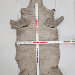 【mayumayu 様専用商品】ワニ革  半艶マット  グレージュ  No.C007002/6995 6枚目の画像