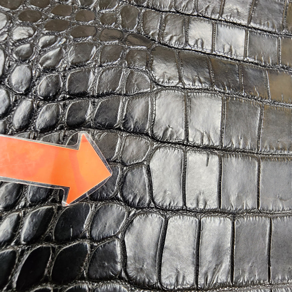 ワニ革 クロコ ナッパ仕上げ  黒 No.C008730 12枚目の画像