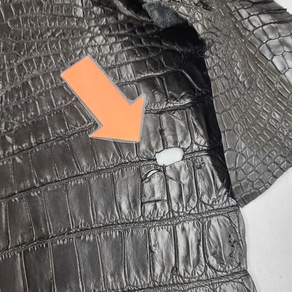 ワニ革 クロコ ナッパ仕上げ  黒 No.C008730 17枚目の画像