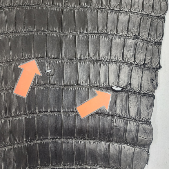 ワニ革 クロコ ナッパ仕上げ  黒 No.C008730 18枚目の画像