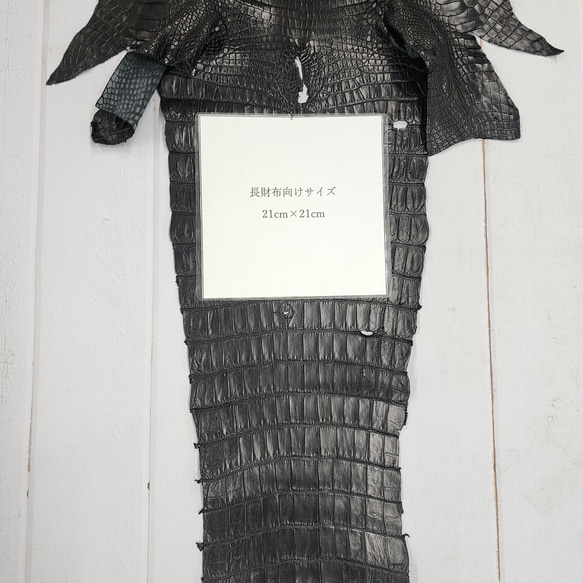 ワニ革 クロコ ナッパ仕上げ  黒 No.C008730 9枚目の画像